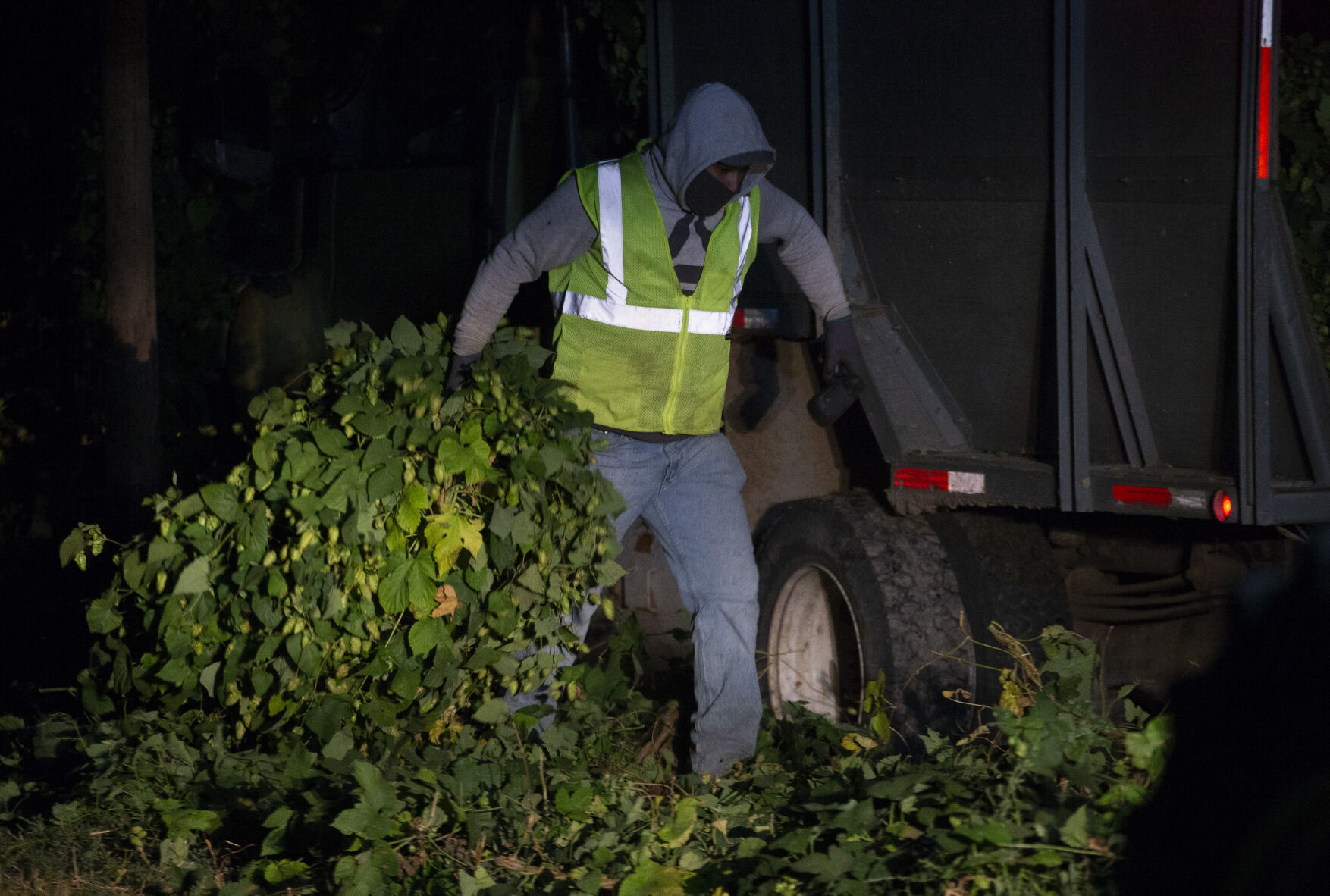 Night Hop Harvest at Morrier Ranch
